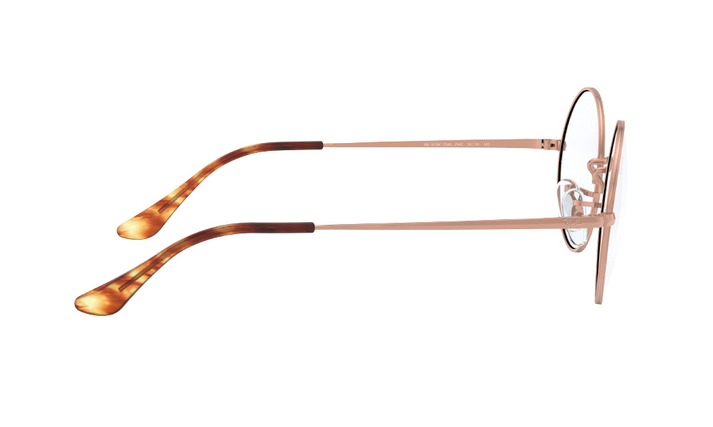 Оправа Ray-Ban RX 1970V 2943