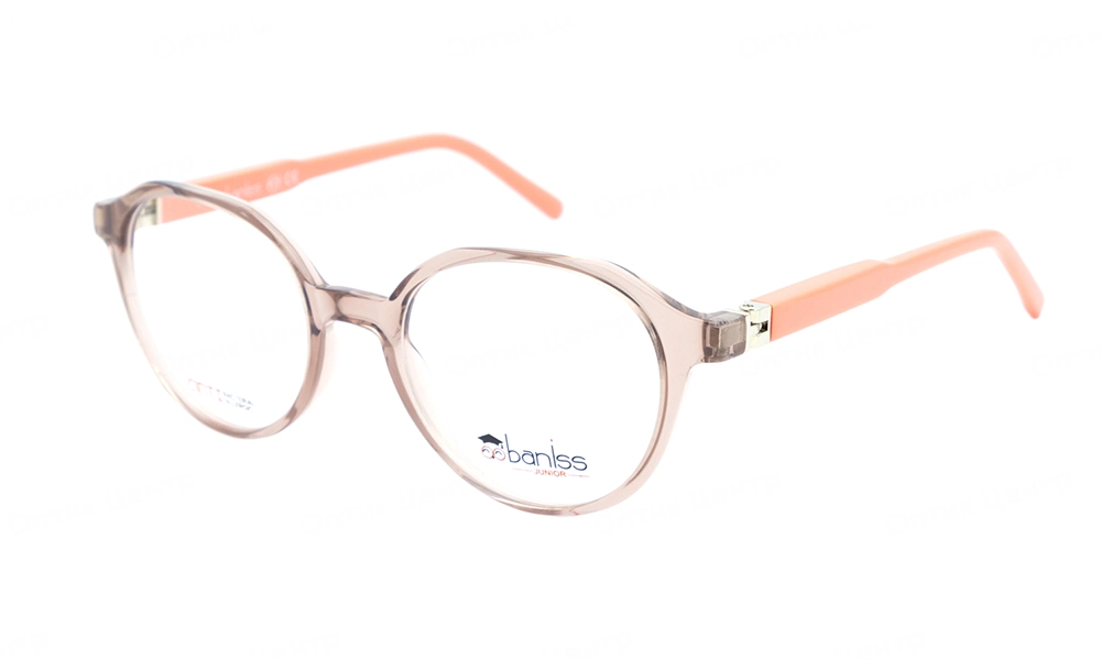 Очки для зрения BANISS BSJ5149 C01
