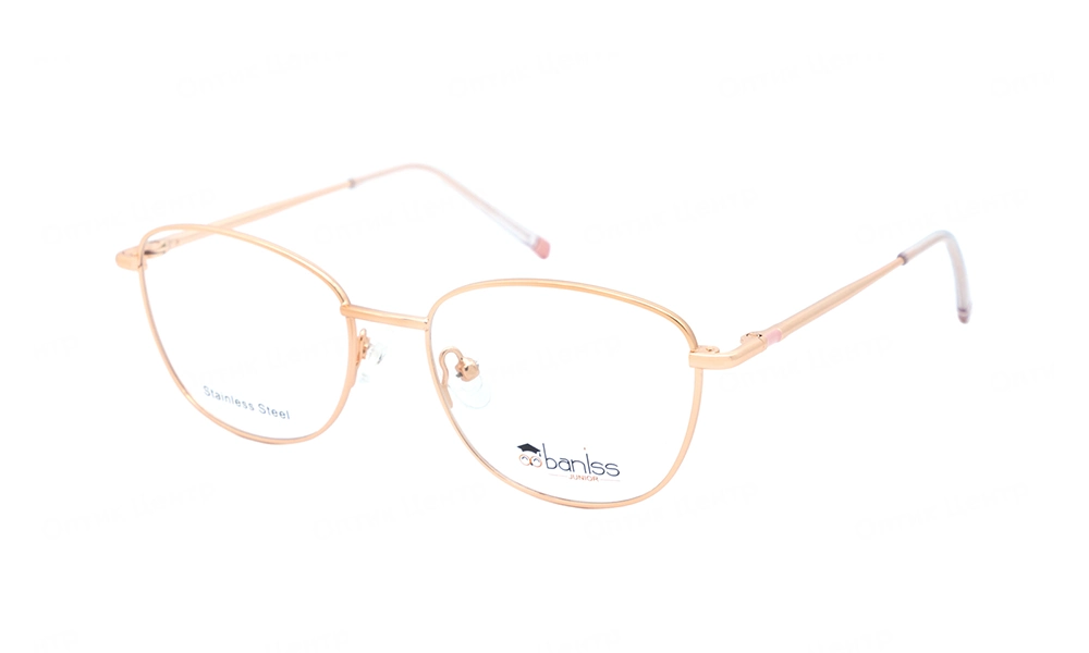 Оправа BANISS BY1021 C01