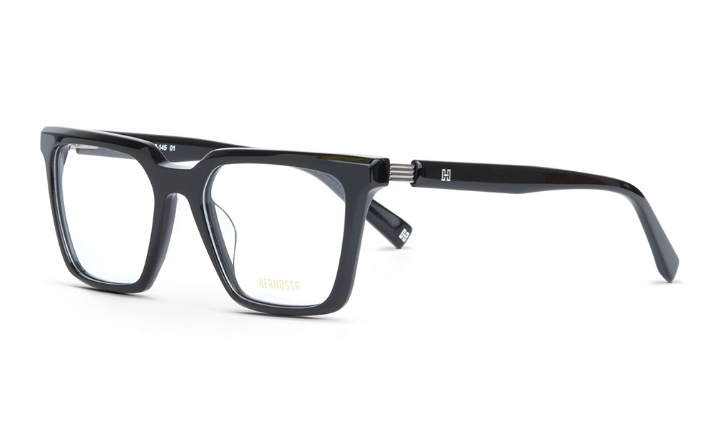 Очки для зрения HERMOSSA HMO 529 C1