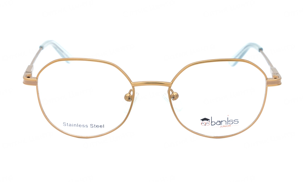 Оправа BANISS BY1014 C02