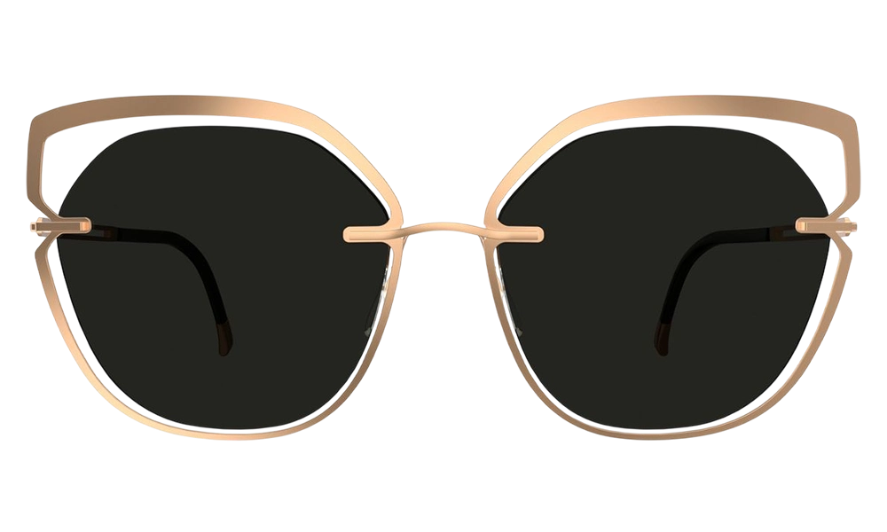Солнцезащитные очки SILHOUETTE SG 8181 3620