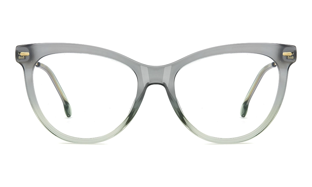 Оправа CARRERA 3078 1ED