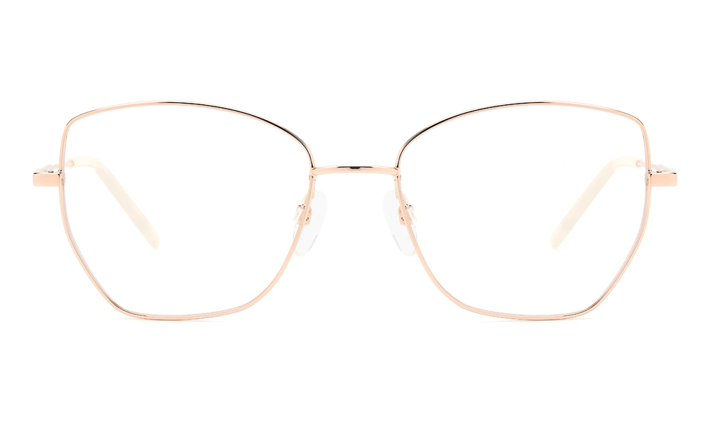 Оправа PIERRE CARDIN PC 8876 DDB