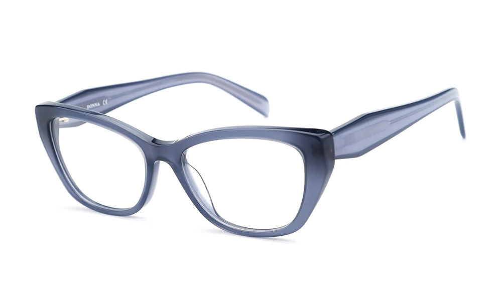 Очки для зрения DONNA DN1025 C5
