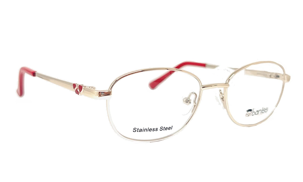 Очки для зрения BANISS BRJ2139A C01