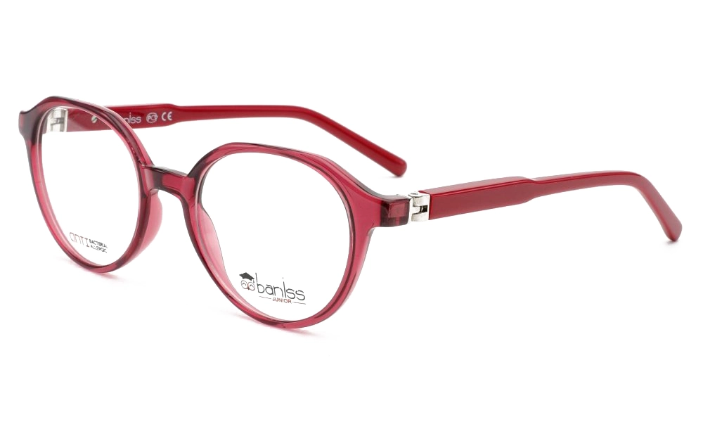 Очки для зрения BANISS BSJ5149 C02