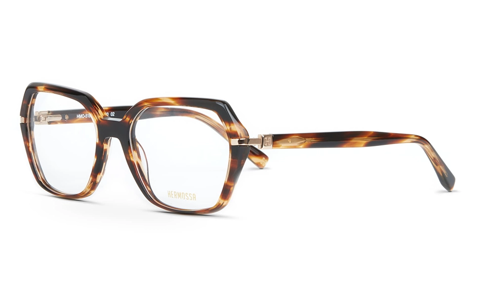 Очки для зрения HERMOSSA HMO 518 C2