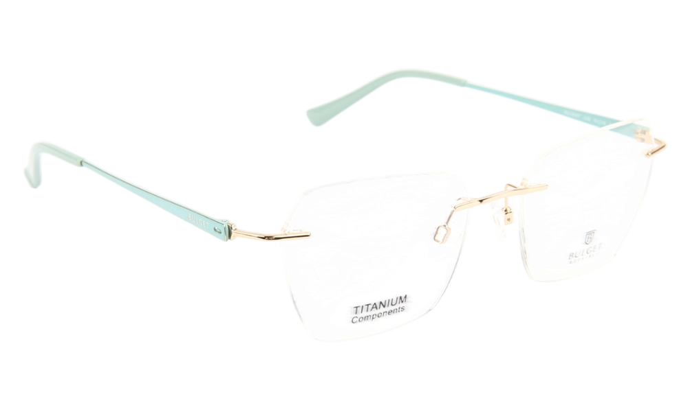 Очки для зрения BULGET BG1959T 04B