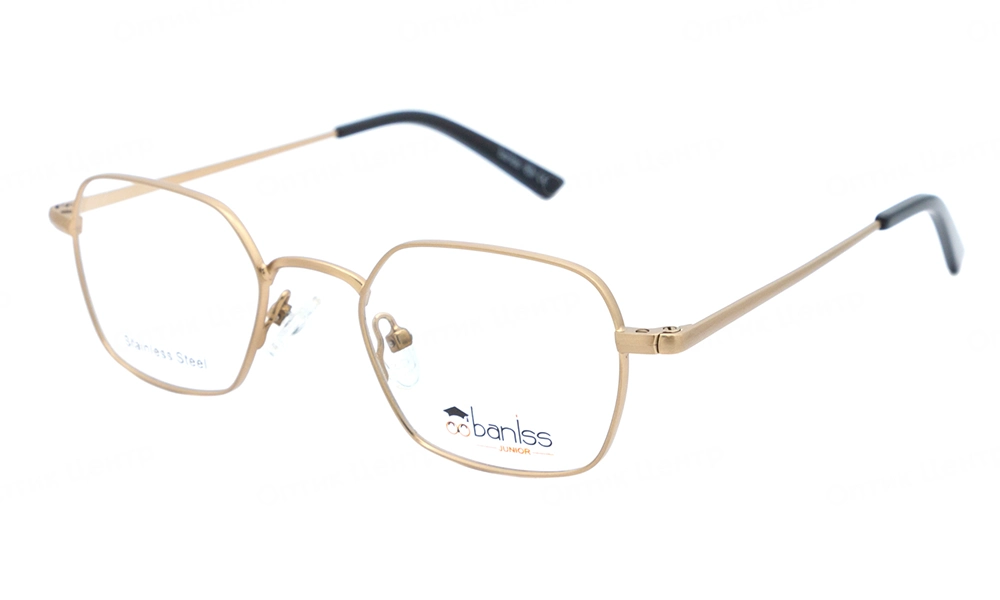 Очки для зрения BANISS BY1010 C02