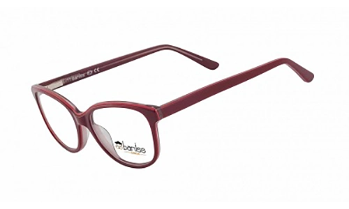 Очки для зрения BANISS BSJ5135 C03