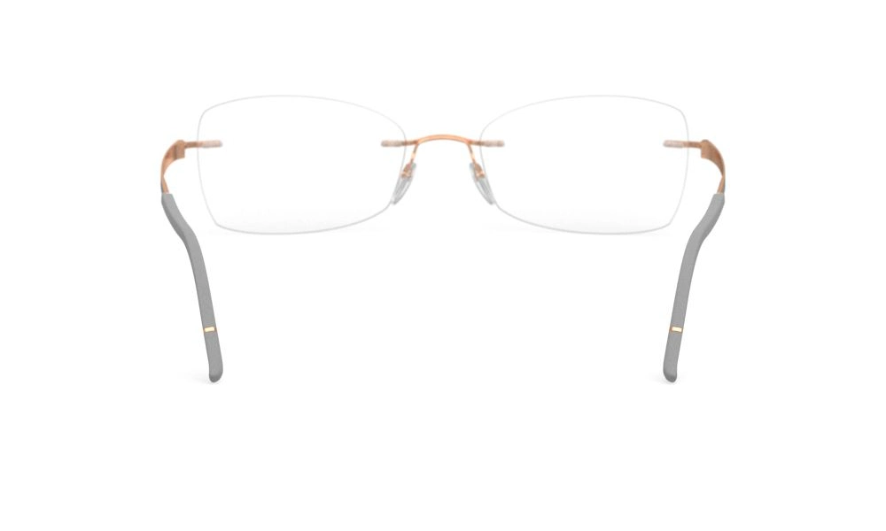 Оправа SILHOUETTE 5529_HC 6520