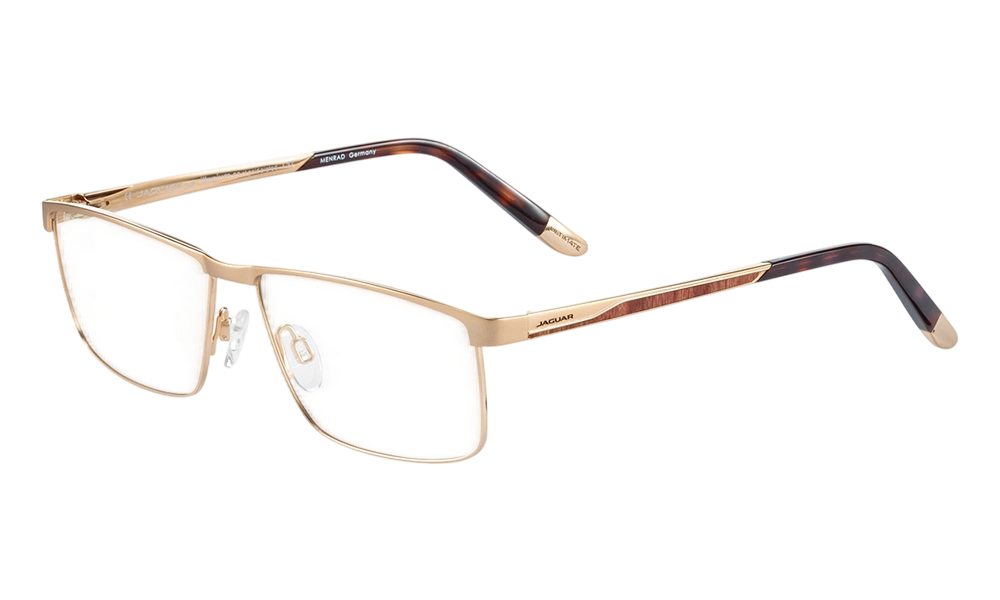 Очки для зрения JAGUAR 35813 600
