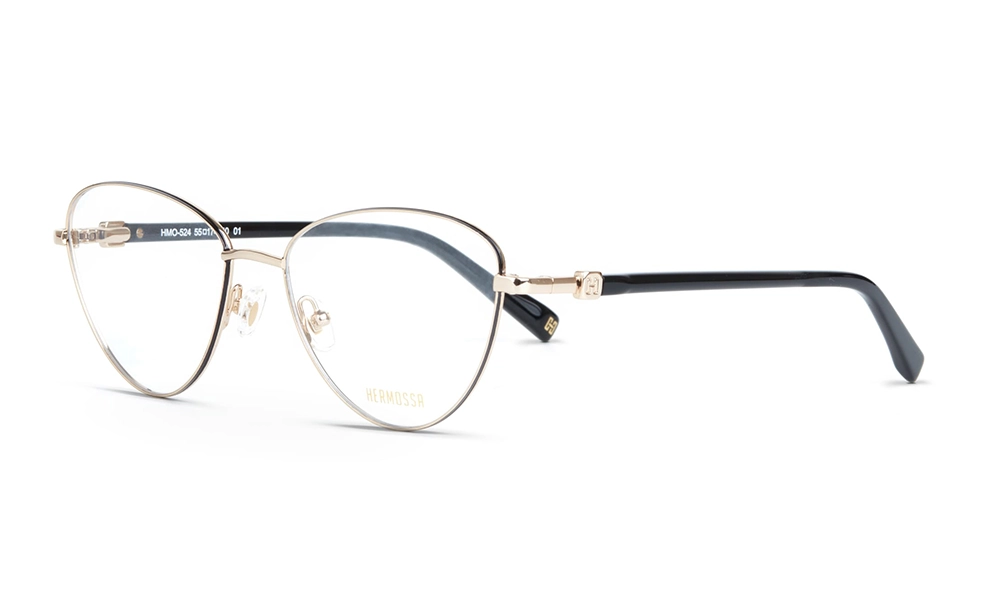 Очки для зрения HERMOSSA HMO 524 C1