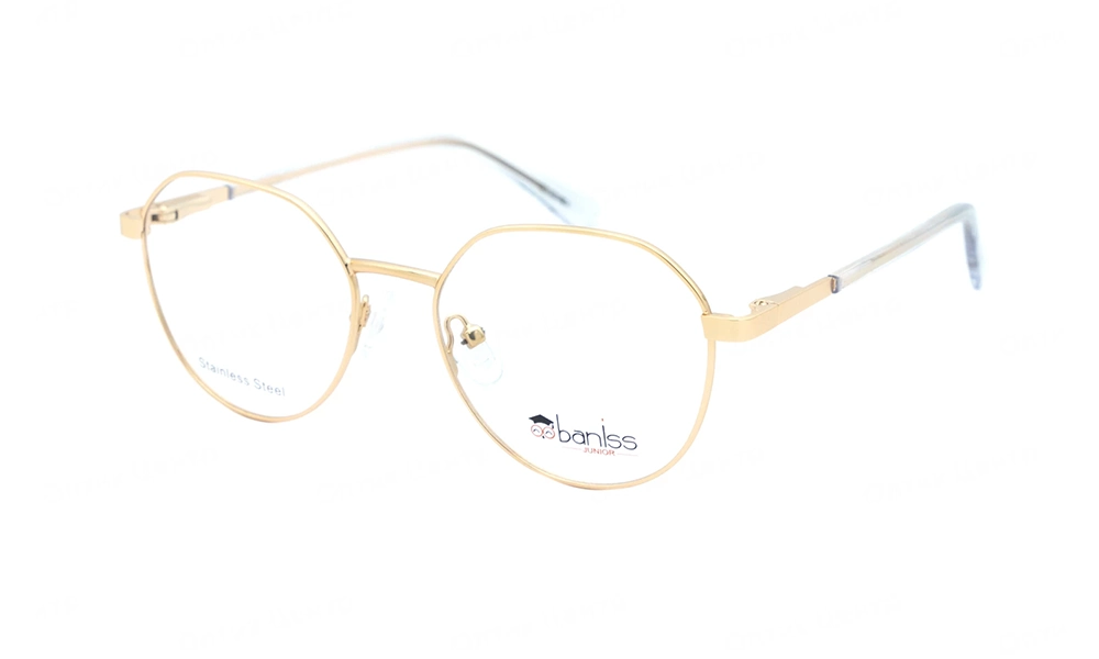 Оправа BANISS BY1024 C03