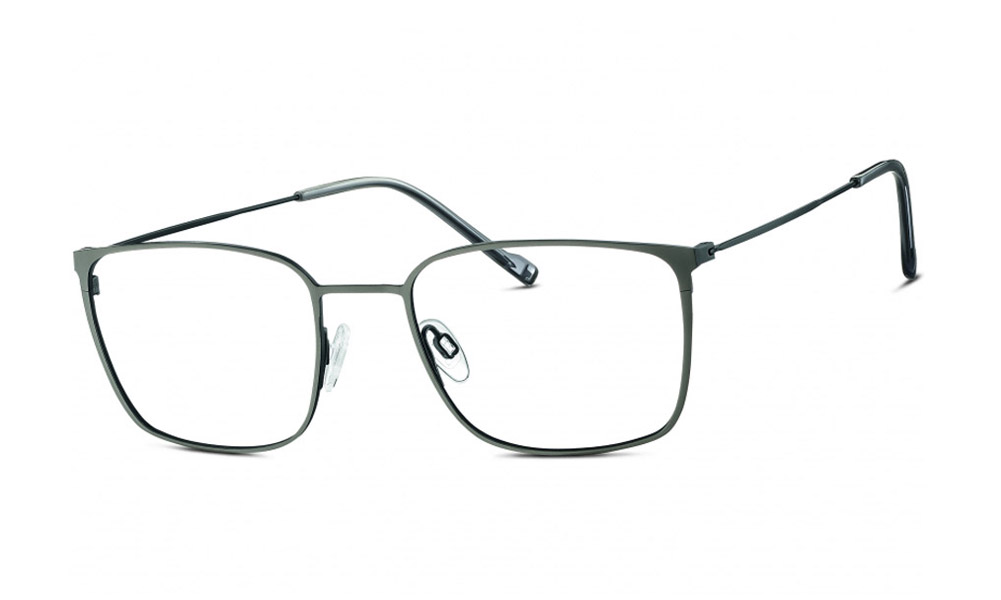 Очки для зрения TITANflex 820840-31