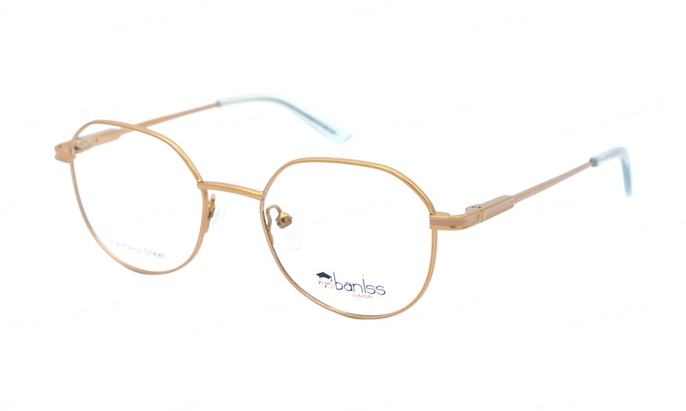 Оправа BANISS BY1014 C02