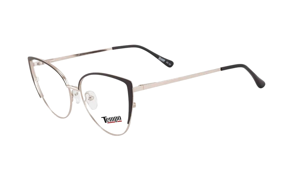 Очки для зрения TEMPO 2473 C01