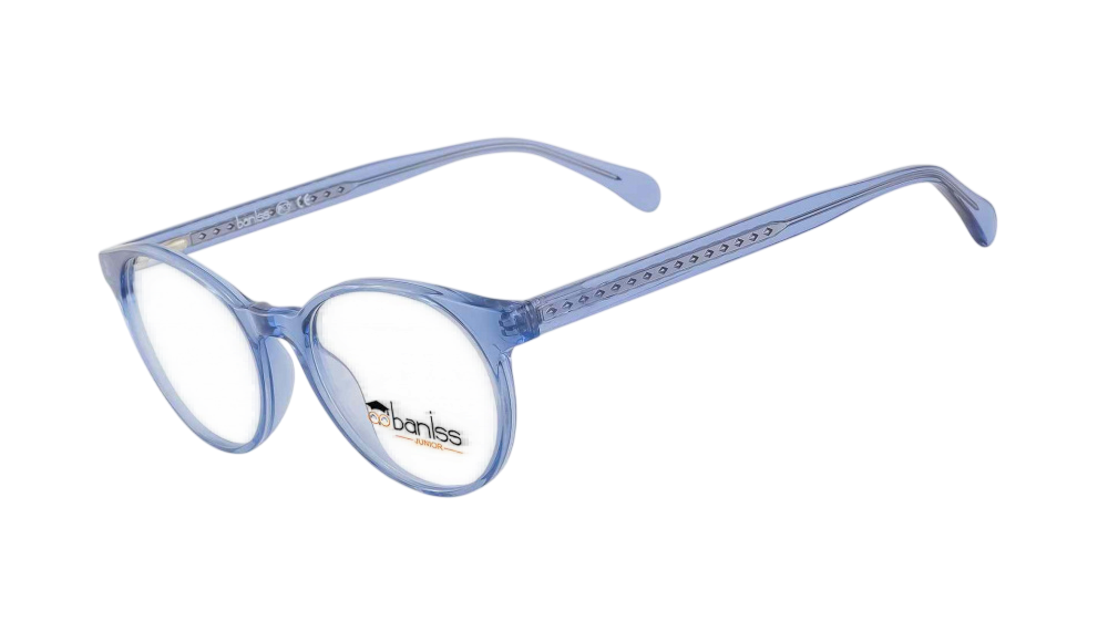 Очки для зрения BANISS BS7091 C02