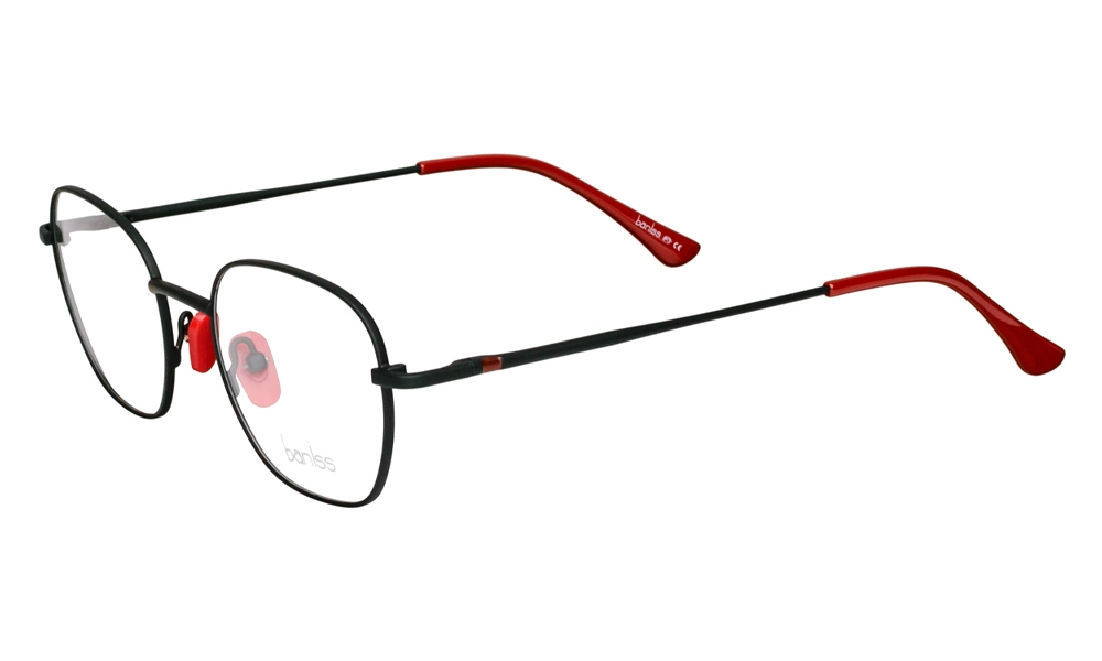 Очки для зрения BANISS BR5045S C01