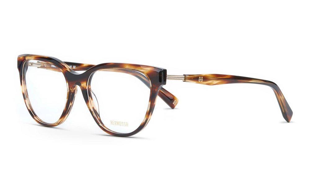 Очки для зрения HERMOSSA HMO 515 C2
