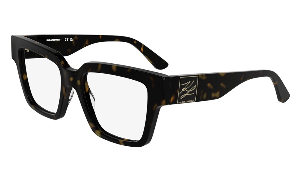 Оправа Karl Lagerfeld KL 6196 242