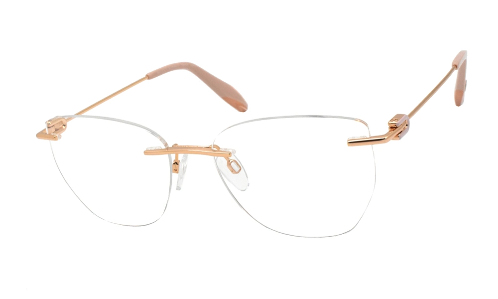 Оправа BULGET BG1847T 01A