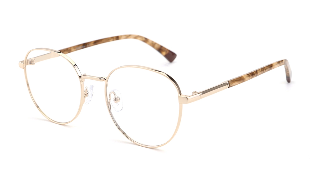 Очки для зрения DONNA DN3175 C4