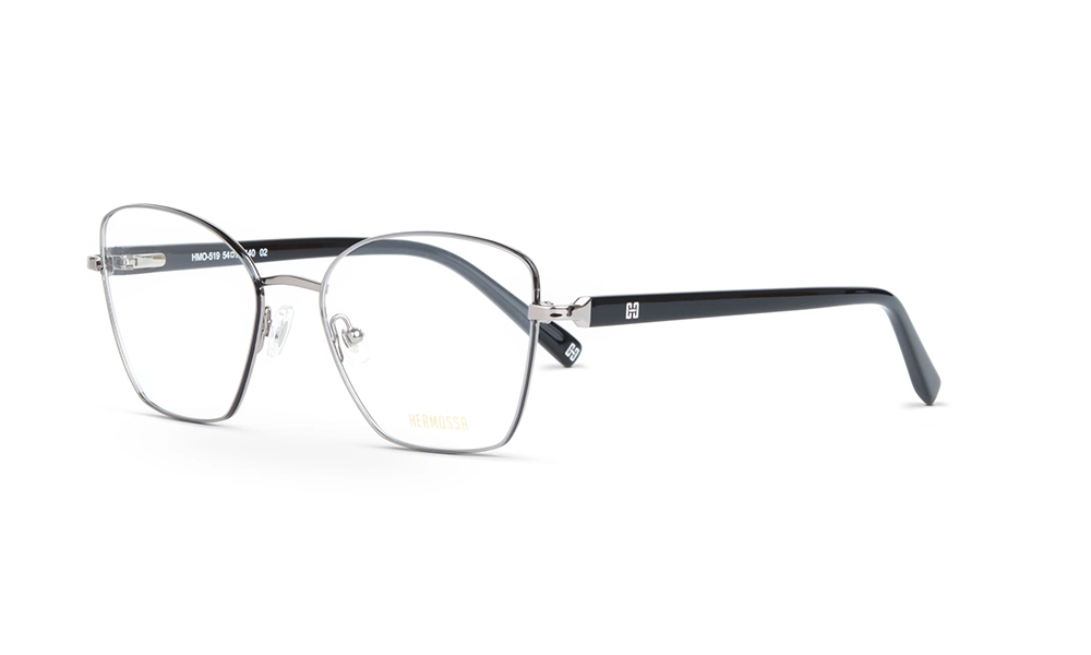 Очки для зрения HERMOSSA HMO 519 C2
