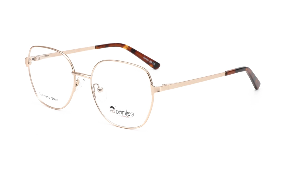 Очки для зрения BANISS BY1002 C03