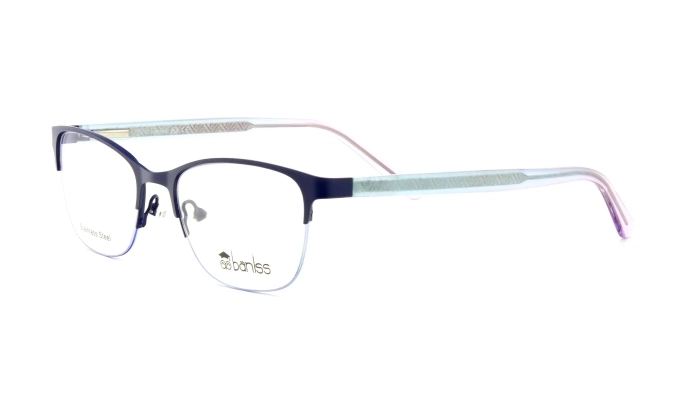 Очки для зрения BANISS BR5036A C05