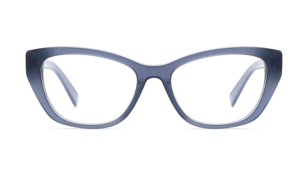 Оправа DONNA DN1025 C5