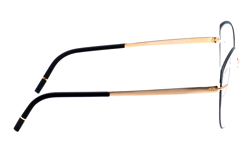 Оправа SILHOUETTE 5552_JX 7520