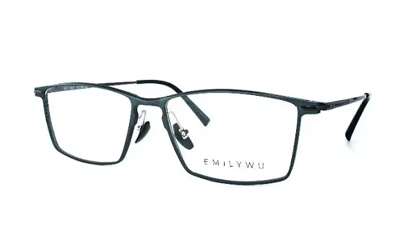 Оправа EMILY WU 6911 6521