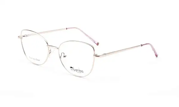 Оправа BANISS BR5090A C02