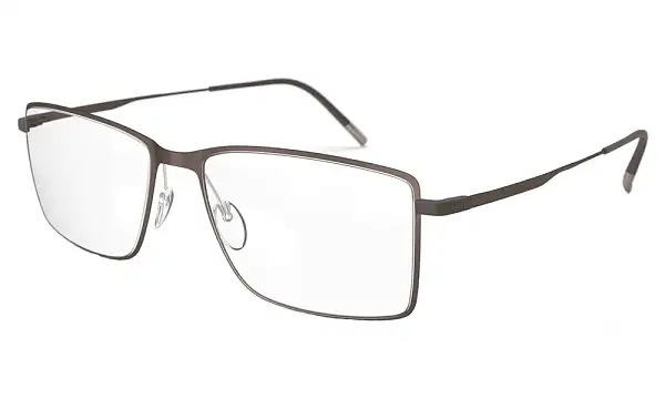 Оправа SILHOUETTE 5533_75 6140