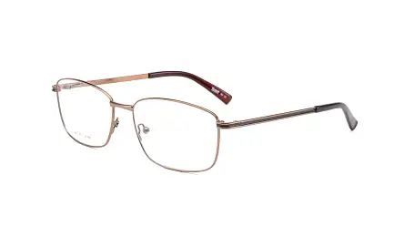 Оправа TEMPO TE1012 C02