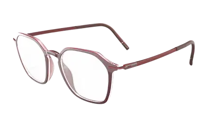 Оправа SILHOUETTE 2964_75 3540