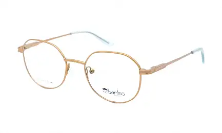 Оправа BANISS BY1014 C02