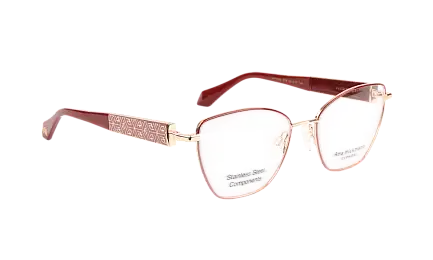 Оправа ANA HICKMANN AH1525 07A