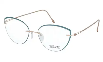 Оправа SILHOUETTE 5566_LR 3532