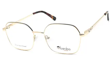 Оправа BANISS BY1001 C03