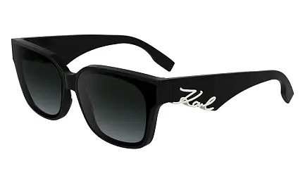 Солнцезащитные очки Karl Lagerfeld KL 6161S 001