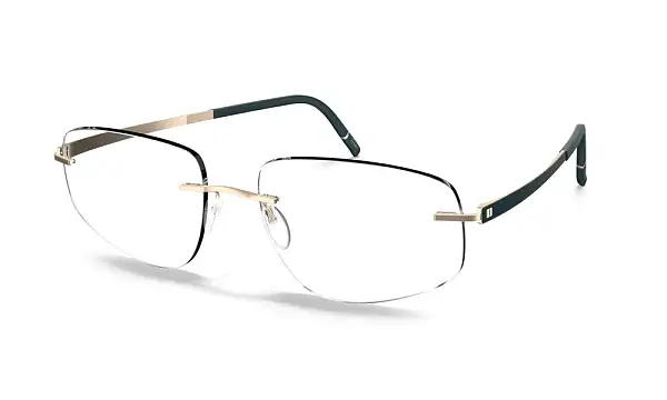 Оправа SILHOUETTE 5529_MN 5540