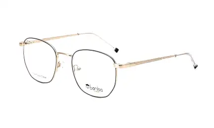 Оправа BANISS BRJ4039 C02