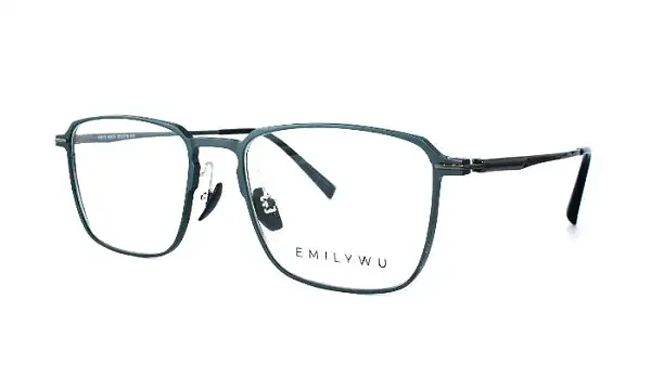 Оправа EMILY WU 6913 6521