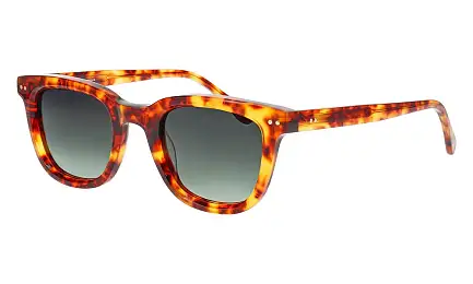 Солнцезащитные очки William Morris 10096 5422