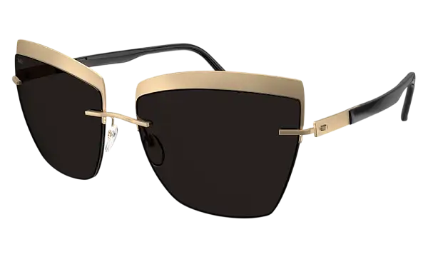 Солнцезащитные очки SILHOUETTE SG 8189 7630