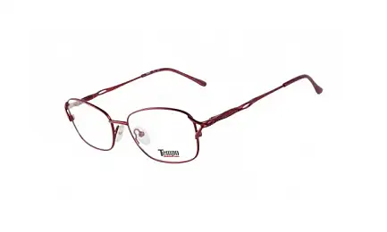 Оправа TEMPO 2233 C02