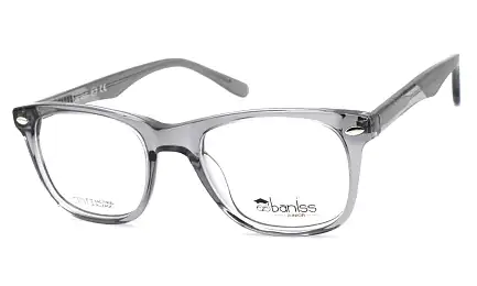Оправа BANISS BSJ6048 C06